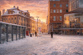 Wandbild: Winterruhe in Erfurt