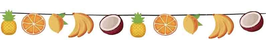 Festone sagomato Frutta "Fruit Party" 3mt