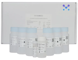 MB-Si Kit I - 100 reactions - DNA/RNA isolation with magnetic beads