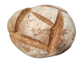 PB. HOGAZA REDONDA (500 GR)