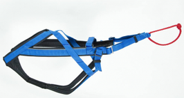 Zuggeschirr Neewa "Racing vario" Blau
