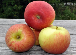 Äpfel-Braeburn/IT