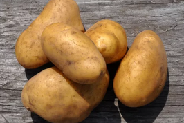Frühkartoffeln/DE