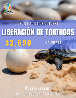 MAJAHUAS LIBERACION DE TORTUGAS