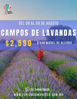 LAVANDAS VERANO
