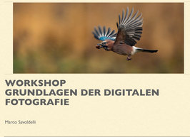 Workshop "Grundlagen der digitalen Fotografie"