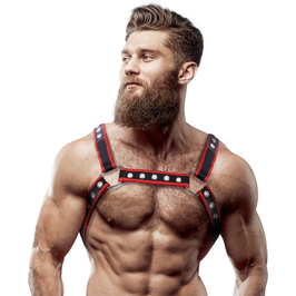 Arnes corporal rojo negro model. 2