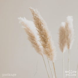 mellow yellow | package