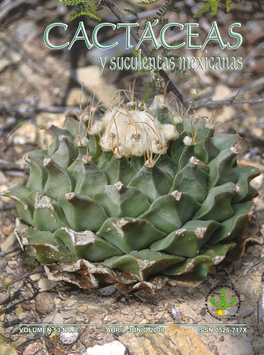 Cactáceas y suculentas mexicanas 53(2)