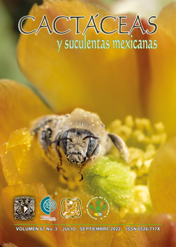 Cactáceas y suculentas mexicanas 67(3)