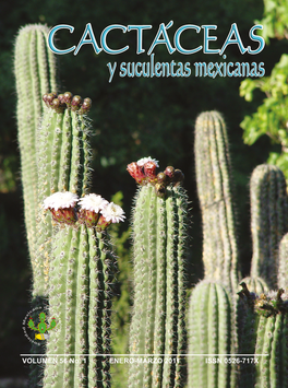 Cactáceas y suculentas mexicanas 56(1)