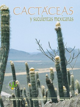 Cactáceas y suculentas mexicanas 55(1)