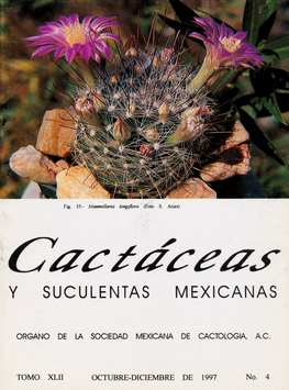 Cactáceas y suculentas mexicanas 42(4)