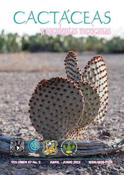 Cactáceas y suculentas mexicanas 67(2)