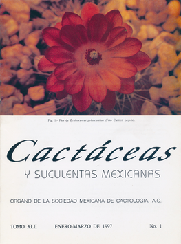 Cactáceas y suculentas mexicanas 42(1)