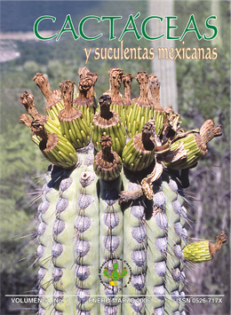 Cactáceas y suculentas mexicanas 51(1)