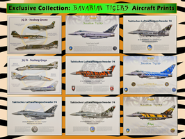 Bavarian Tigers Aircraft Prints - SET mit 9 Bildern