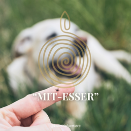 "Mitesser" - Zecken-ade