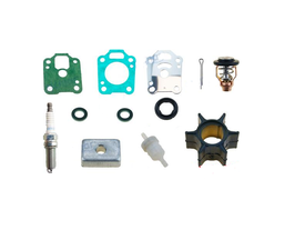 Kit de mantenimiento de 4 tiempos de 4/5/6 HP Mercury (RECKITMER4)