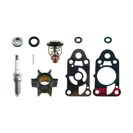 Kit de mantenimiento de 4 tiempos Mercury 2.5 / 3.5 HP (RECKITMER2.5)