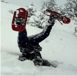 2027-01-24 Snow Day