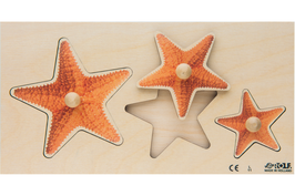 Rolf Puzzles - Regal groß-klein Seestern