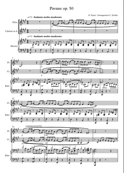 G.Fauré: Pavane op. 50 - TRIO Arrangement