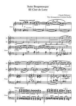 C. Debussy: Clair de Lune (Suite bergamasque No3) TRIO Arrangement
