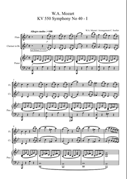 W.A. Mozart: Symphony No40 in G minor K.550