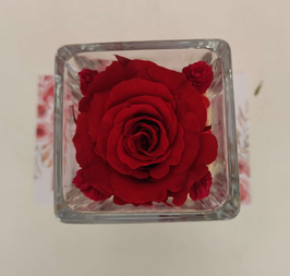 Rosa eterna rossa in cubo vetro 5x5cm