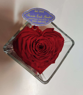 Rose eterna