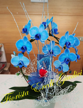 Pianta di Phalaenopsis blu a due rami ad arco con rami di betulla e vaso in ceramica