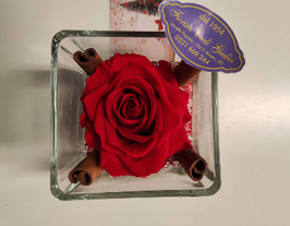 Rose eterna