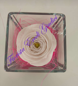 RANUNCOLO BIANCO eterno in cubo vetro 8x8cm