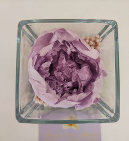 PEONIA LILLA eterna in cubo vetro 8x8cm