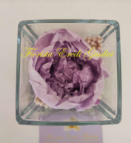 PEONIA LILLA eterna in cubo vetro 8x8cm