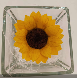 GIRASOLE eterno in cubo vetro 8x8cm