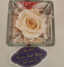 Rosa eterna bianca in cubo vetro 6x6cm