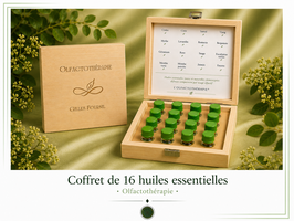 Coffret de base de 16 huiles essentielles