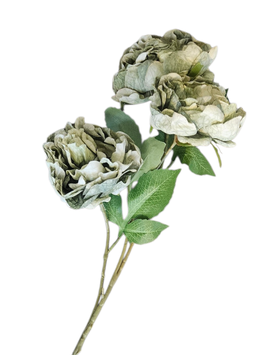 PRACHTIGE BAROC BLOEMEN TAK, 3 BLOEMEN, EVENTUEEL GRATIS EXTRA MOOI VERPAKT