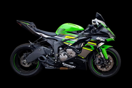 FIRETONG ZX6R 13-24 WILLY MADE FULL-SYSTEM