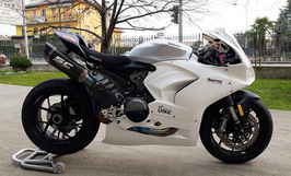 PLASTICBIKE PANIGALE V2 21-24 レースカウル ファイバー