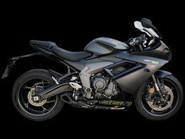 FIRETONG DAYTONA 660 WILLY MADE FULL-SYSTEM