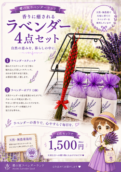 ラベンダー4点セット