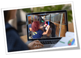 Taping-Webinar: Atemwege