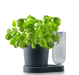 Herbimizer® | Kräutertopf mit automatischem Bewässerungssystem