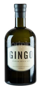 Gingo Power Spyce Gin
