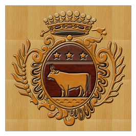 ARMOIRIES FAMILLIALE DUBOEUF + 10 PORTE CLEF FORME BLASON ECU FRANÇAIS ANCIENSEUL
