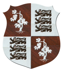 BLASON famille DAVEO