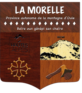 Blason personnel bois et dapeau